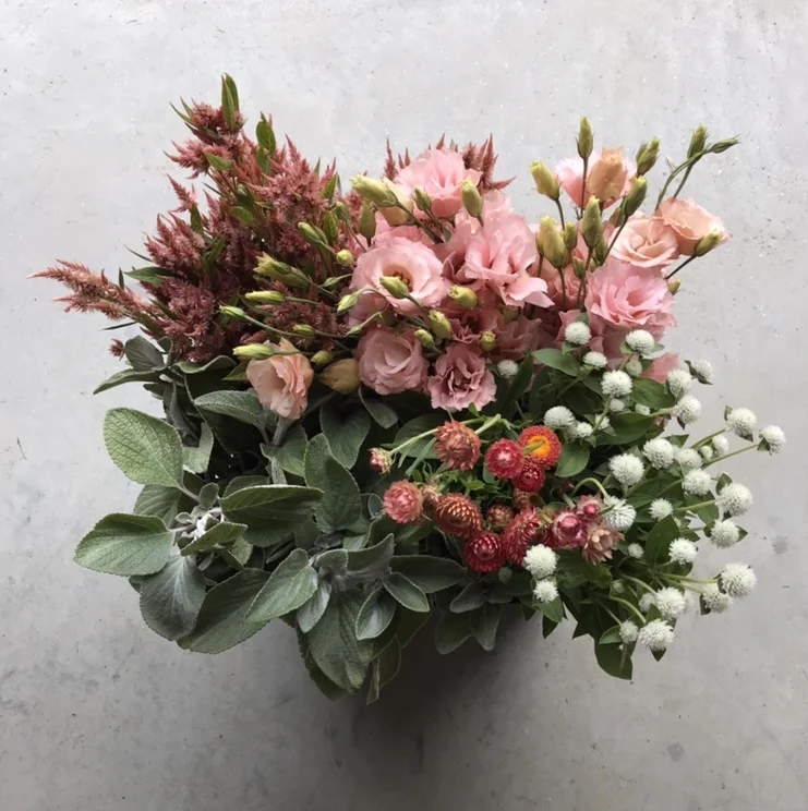 image3 (1).jpeg