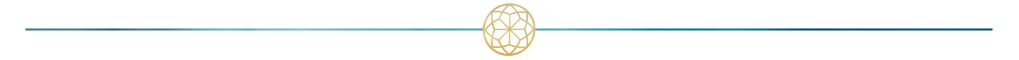 Nona Divider Line 1.png
