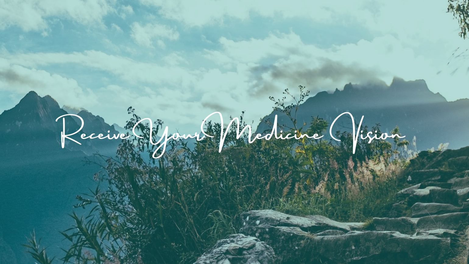 Med Vision Header.png