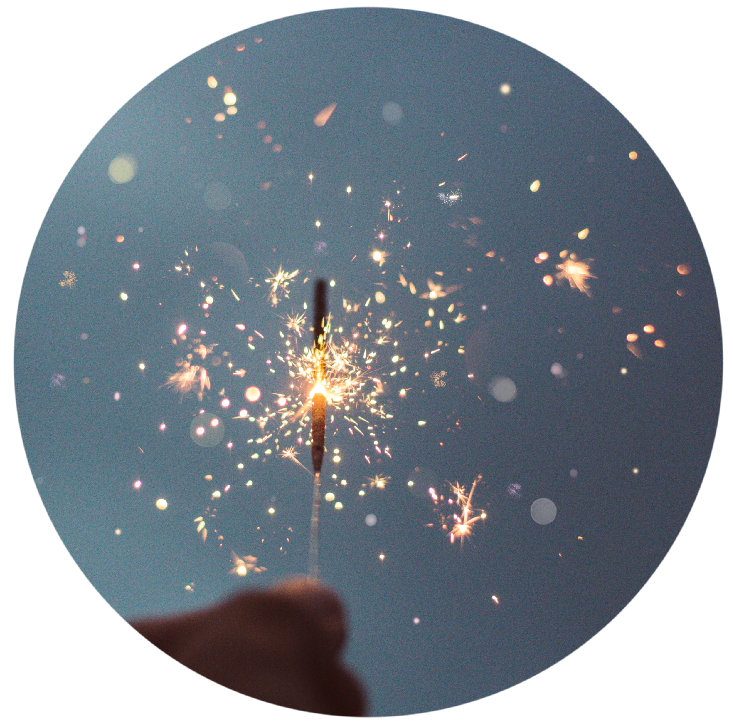 cristian-escobar-297114-unsplash.png