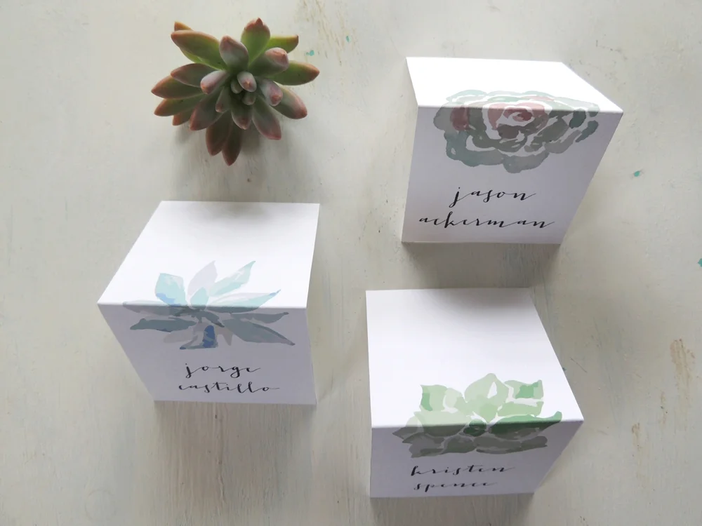 7.harkenpress-succulents.jpg