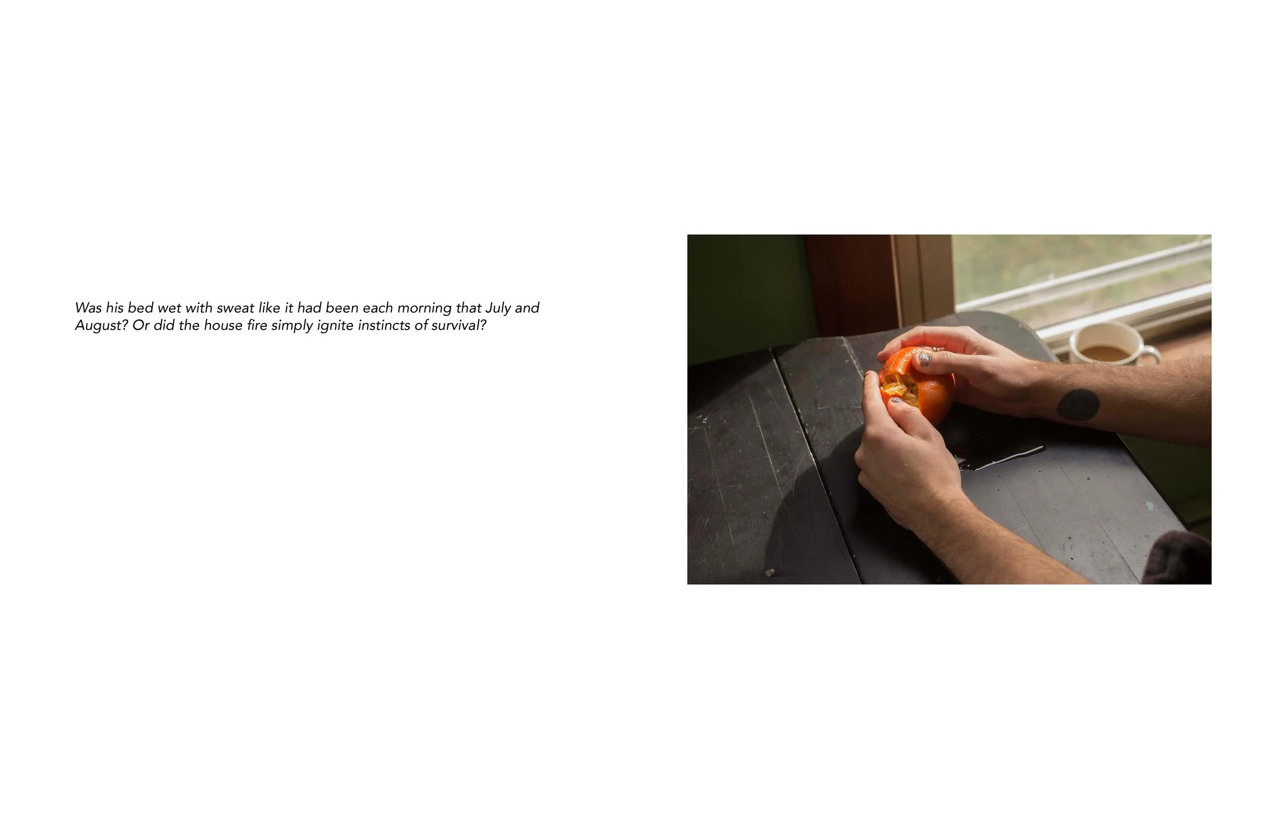 Vivian Ewing_Dry Grass Crackling-page-006.jpg