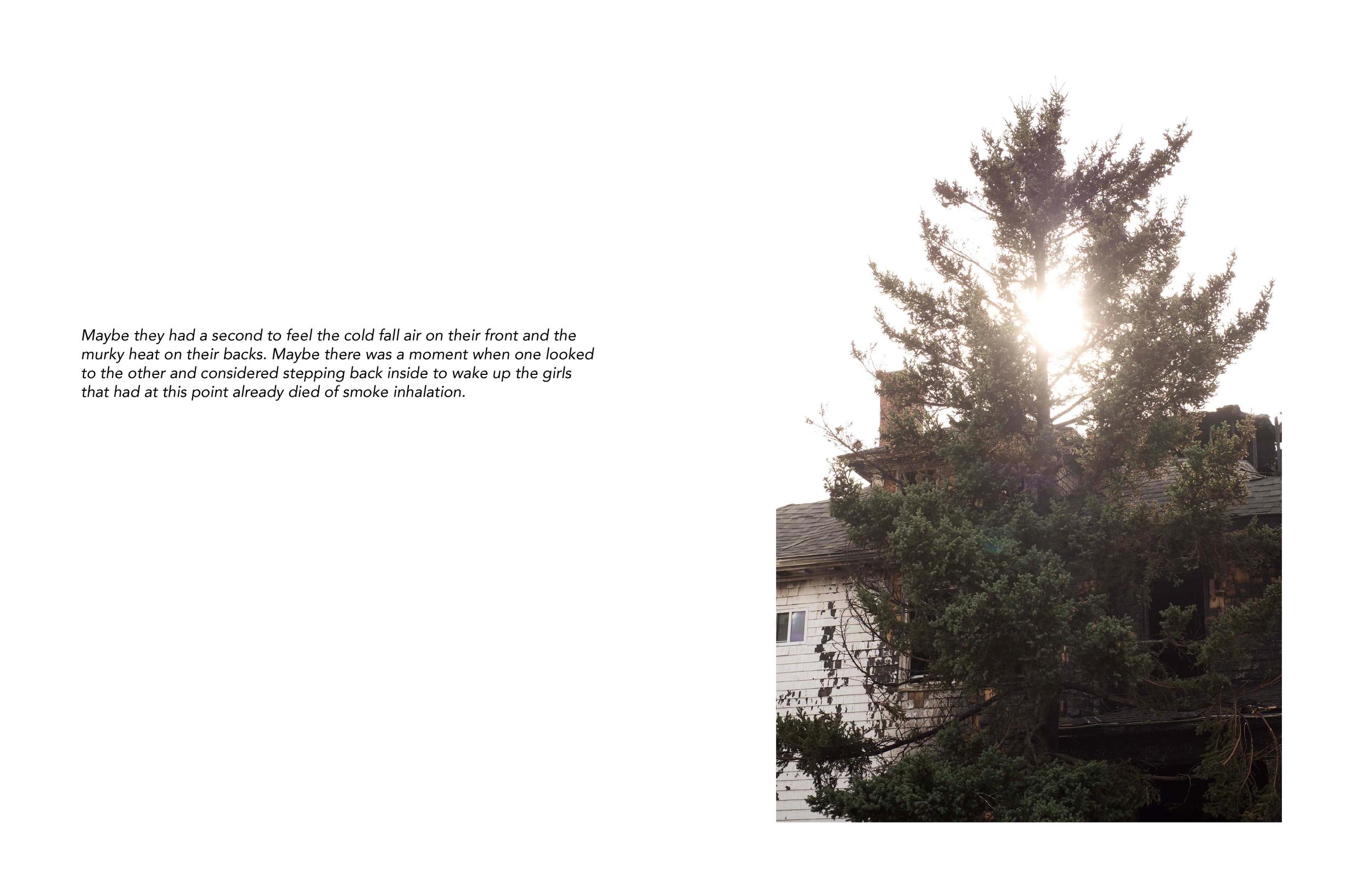 Vivian Ewing_Dry Grass Crackling-page-009.jpg