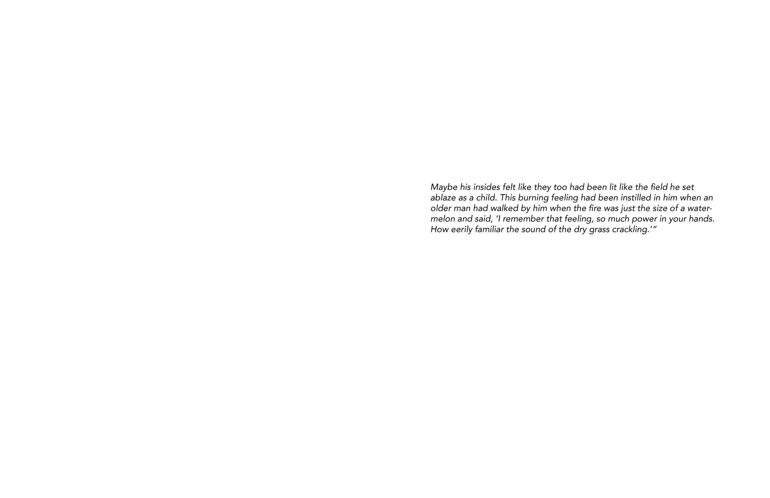Vivian Ewing_Dry Grass Crackling-page-013.jpg