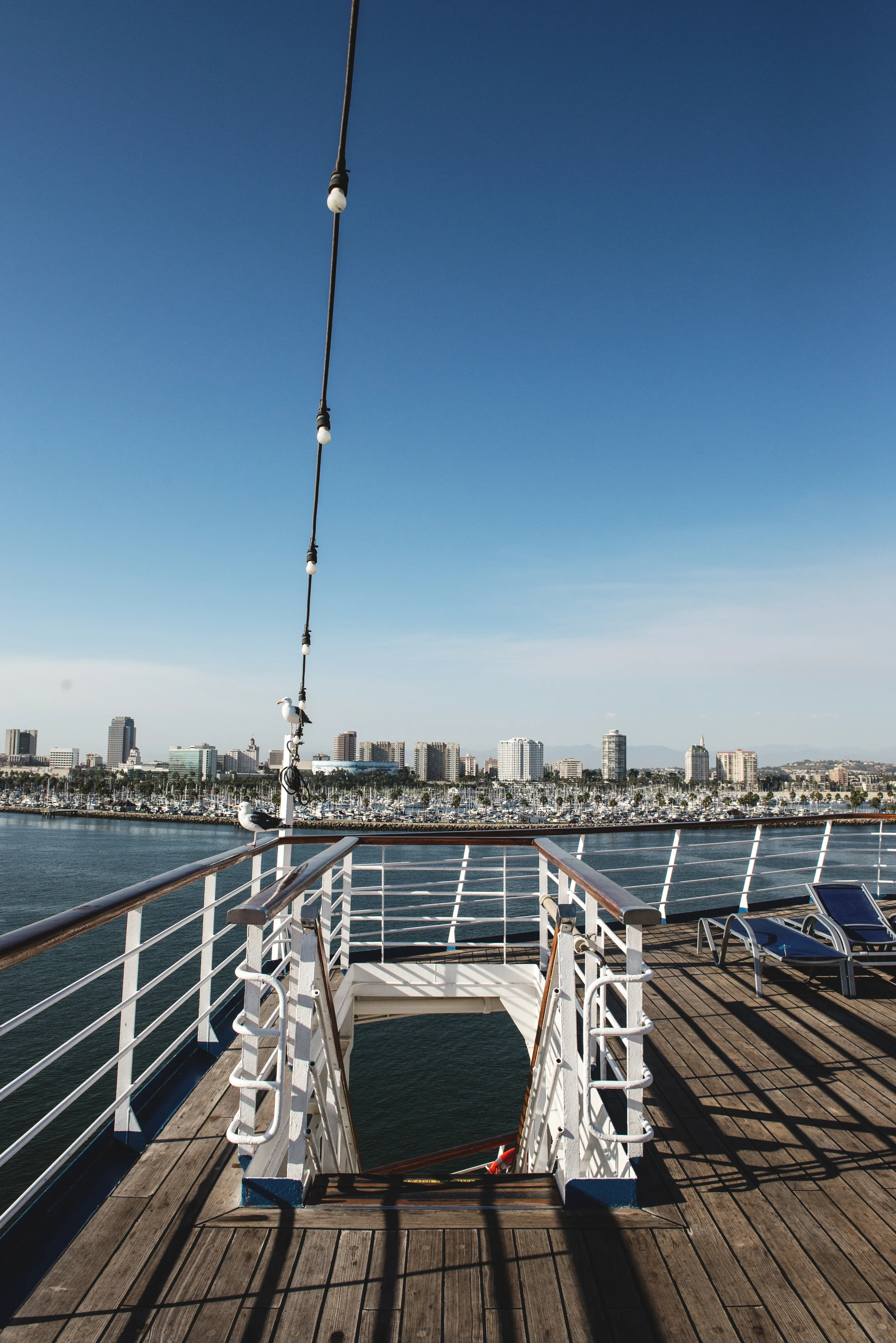 Cruise 002.jpg