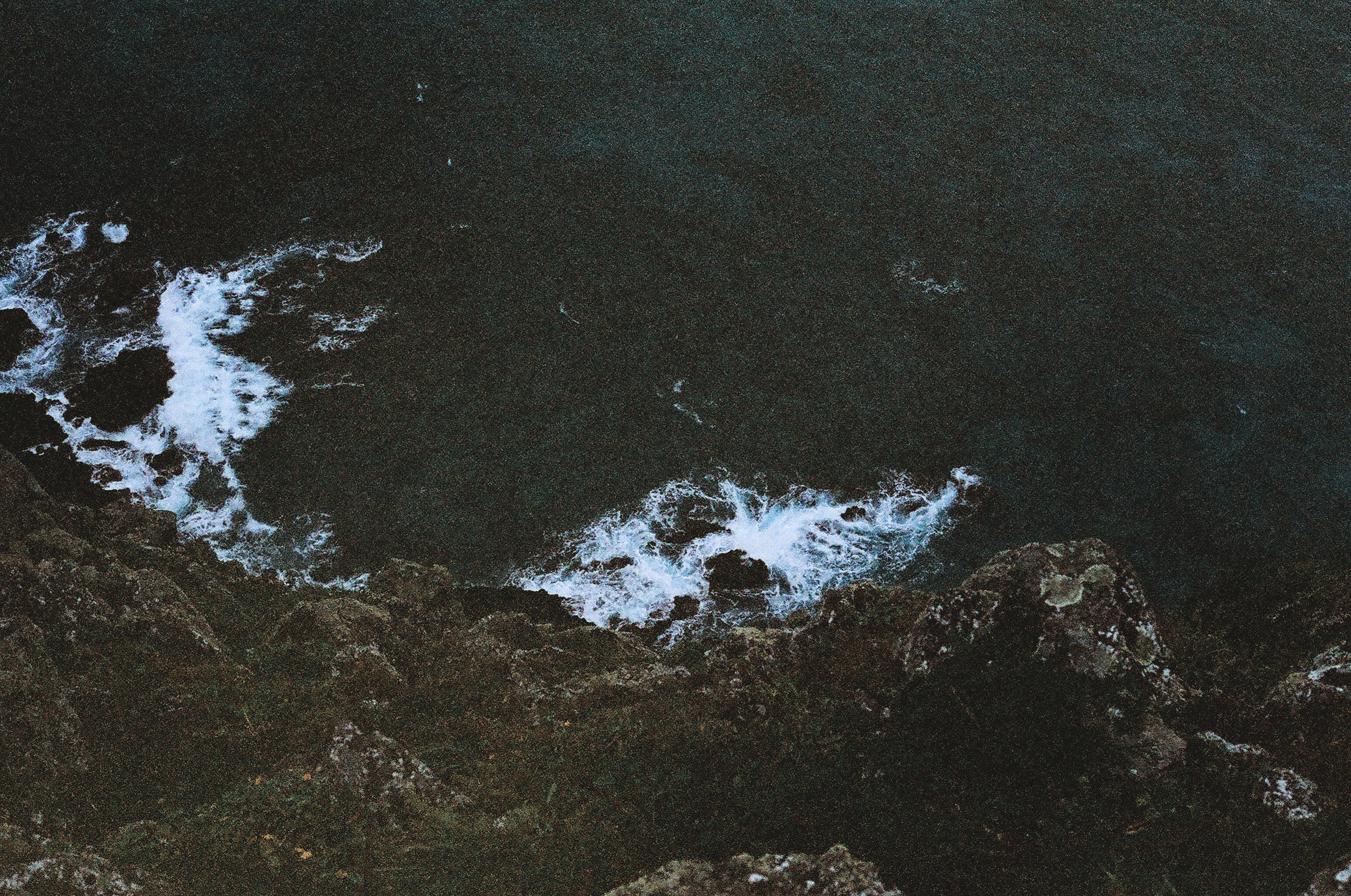 Expired 35mm Kodak ColorMax 400 // Canon AE-1