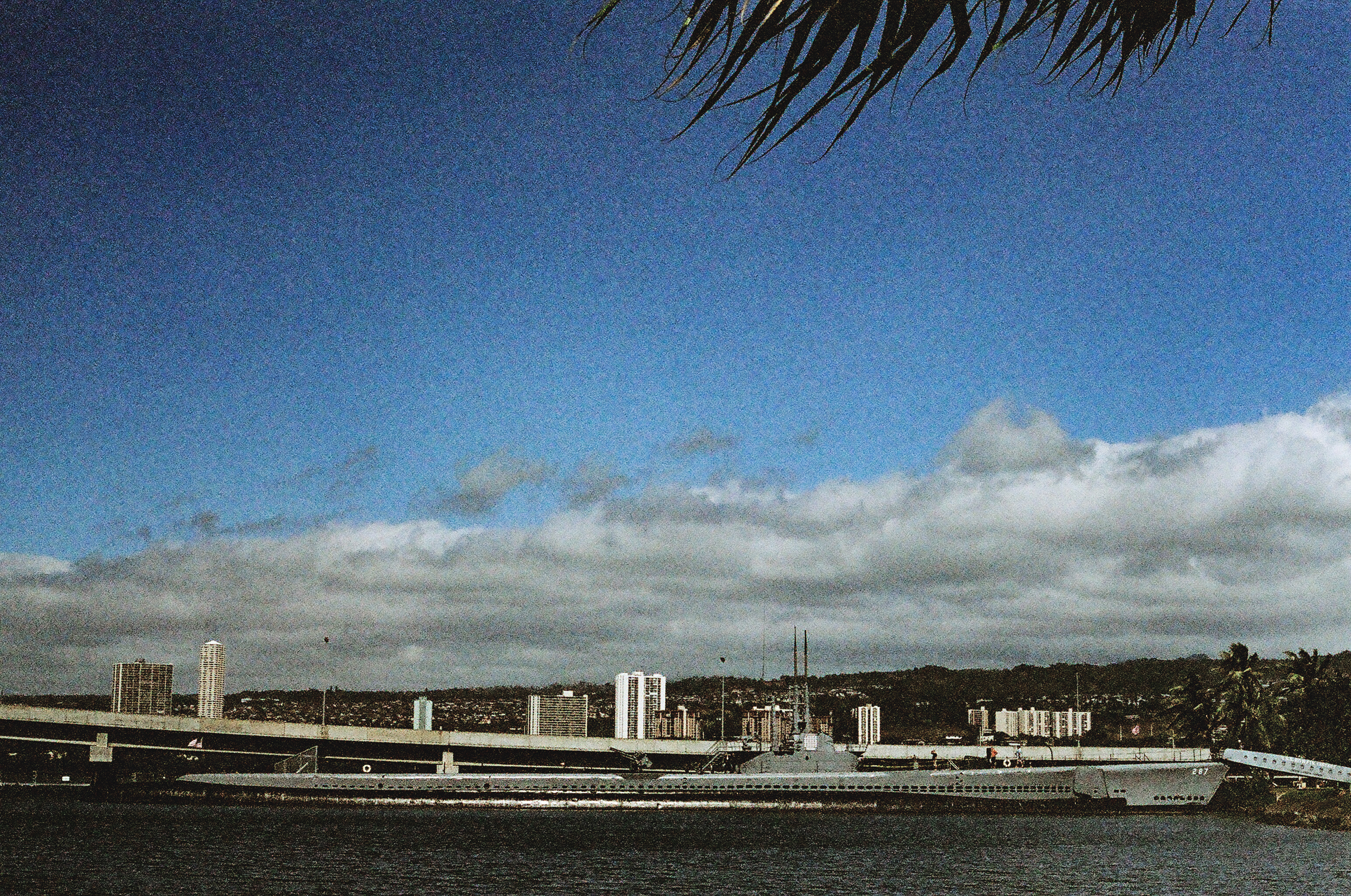 Expired 35mm Kodak ColorMax 400 // Canon AE-1