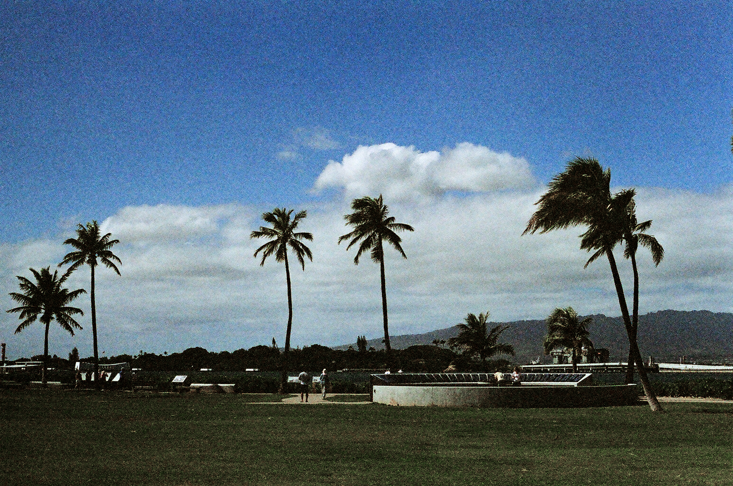 Expired 35mm Kodak ColorMax 400 // Canon AE-1