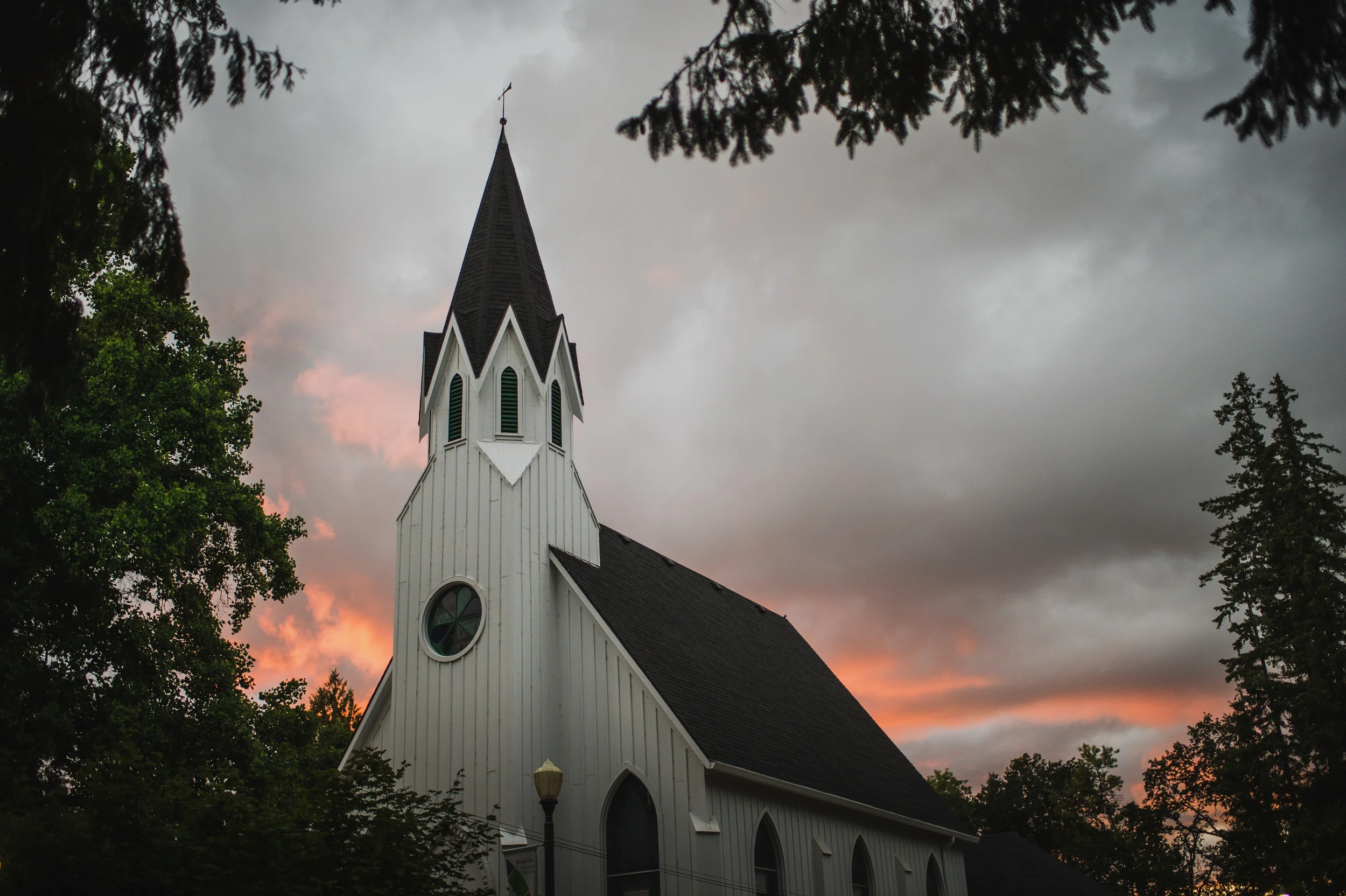 DSC_6666.jpg