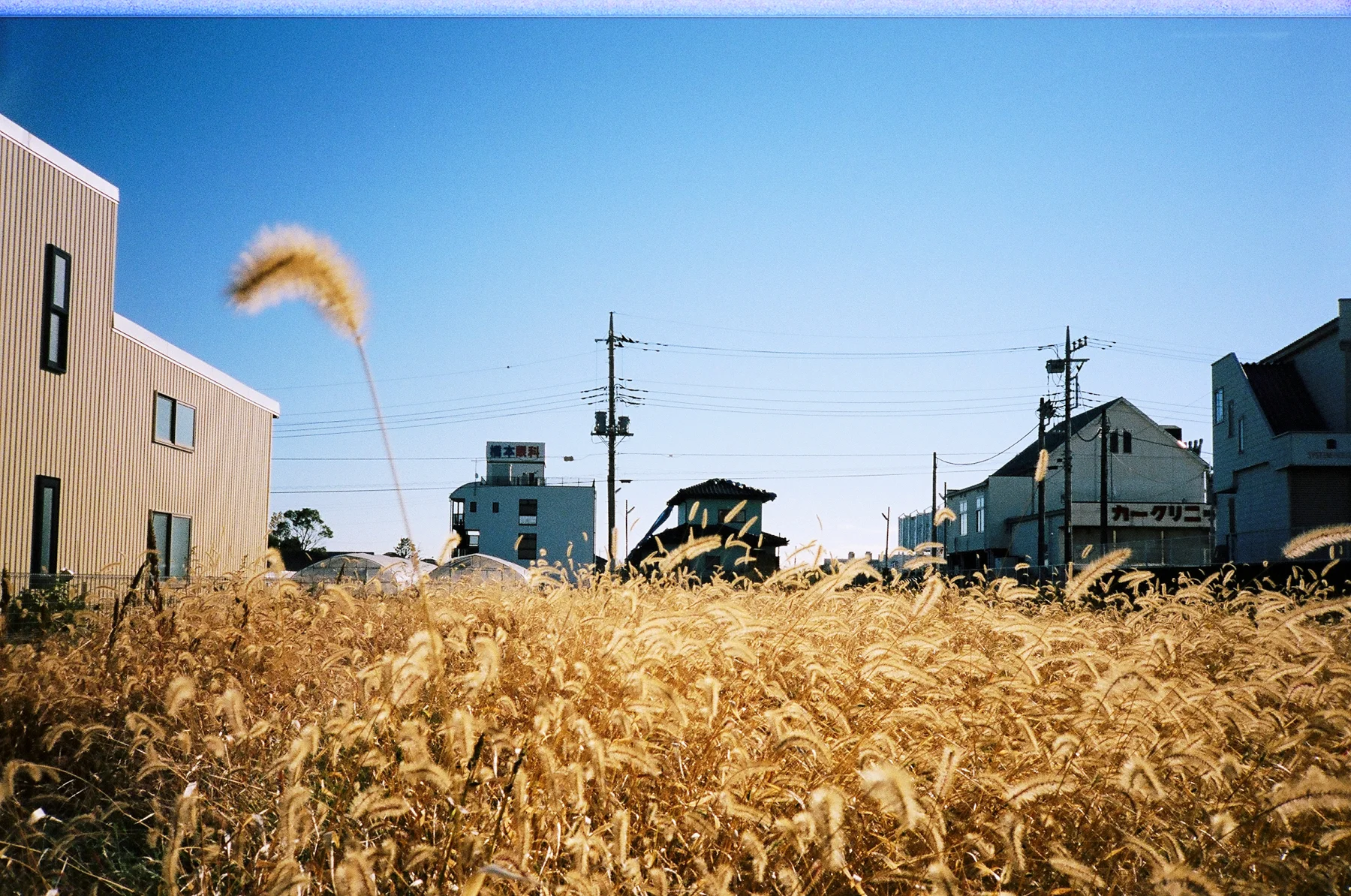 japan_201238.JPG