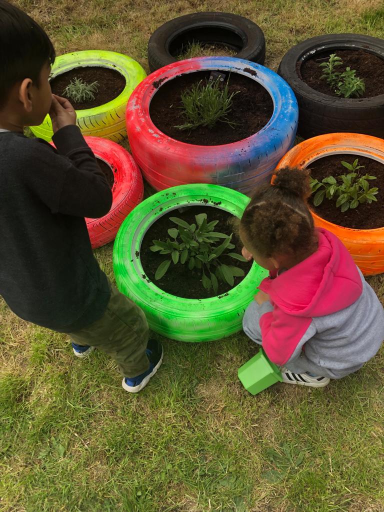 garden 3.jpeg