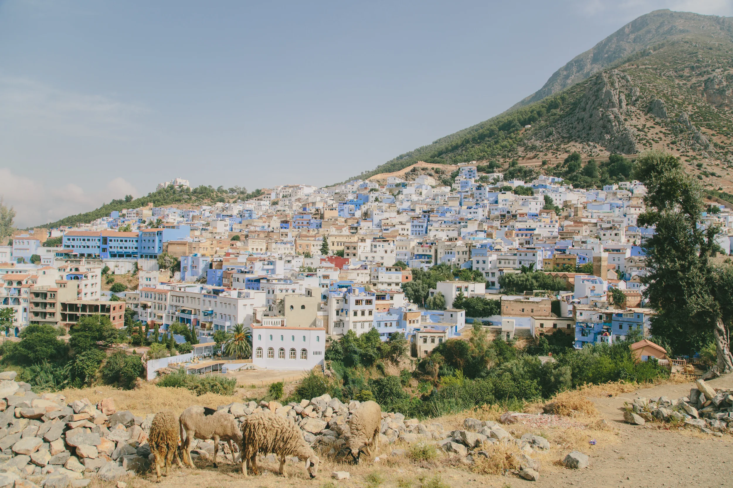 MoroccoUpdated-19.jpg