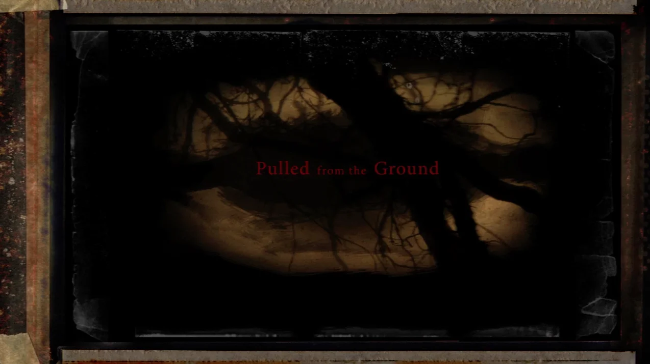 pulled from the ground