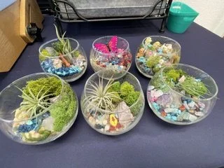 gem terrarium.jpg