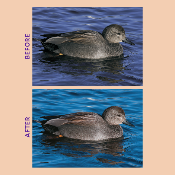Color-Correction-03.png