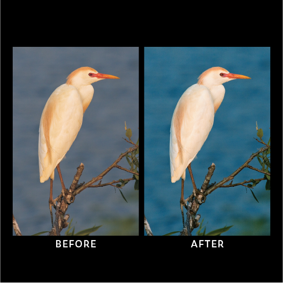 Color-Correction-04.png