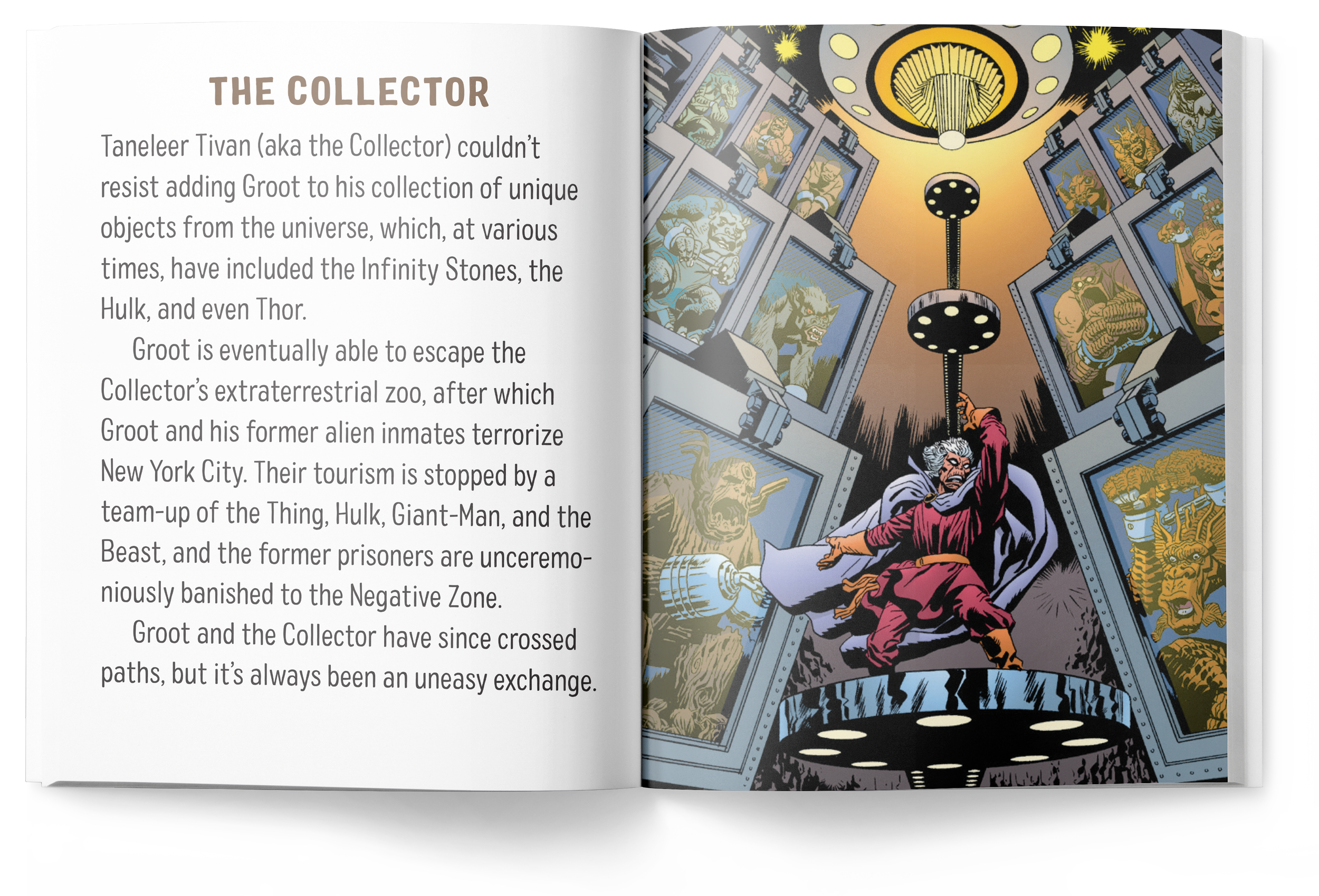 Groot_InteriorMock-Collector copy.png