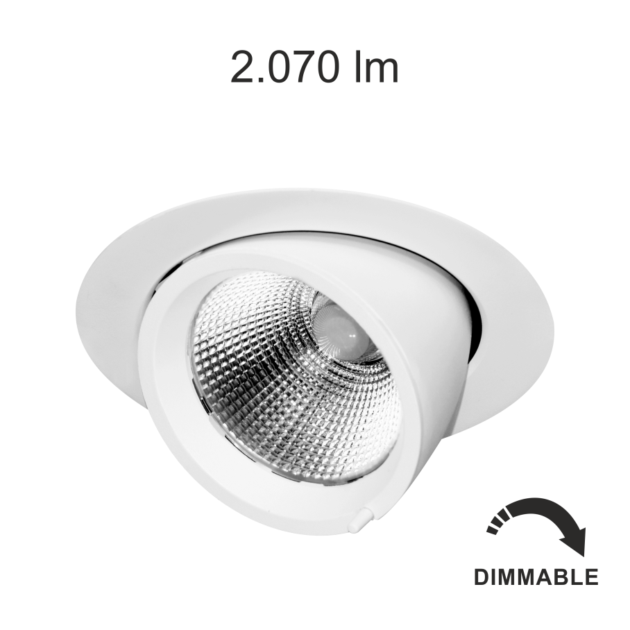 PIXEL 30W 220V  DIMMABLE LED BRIDGELUX.png
