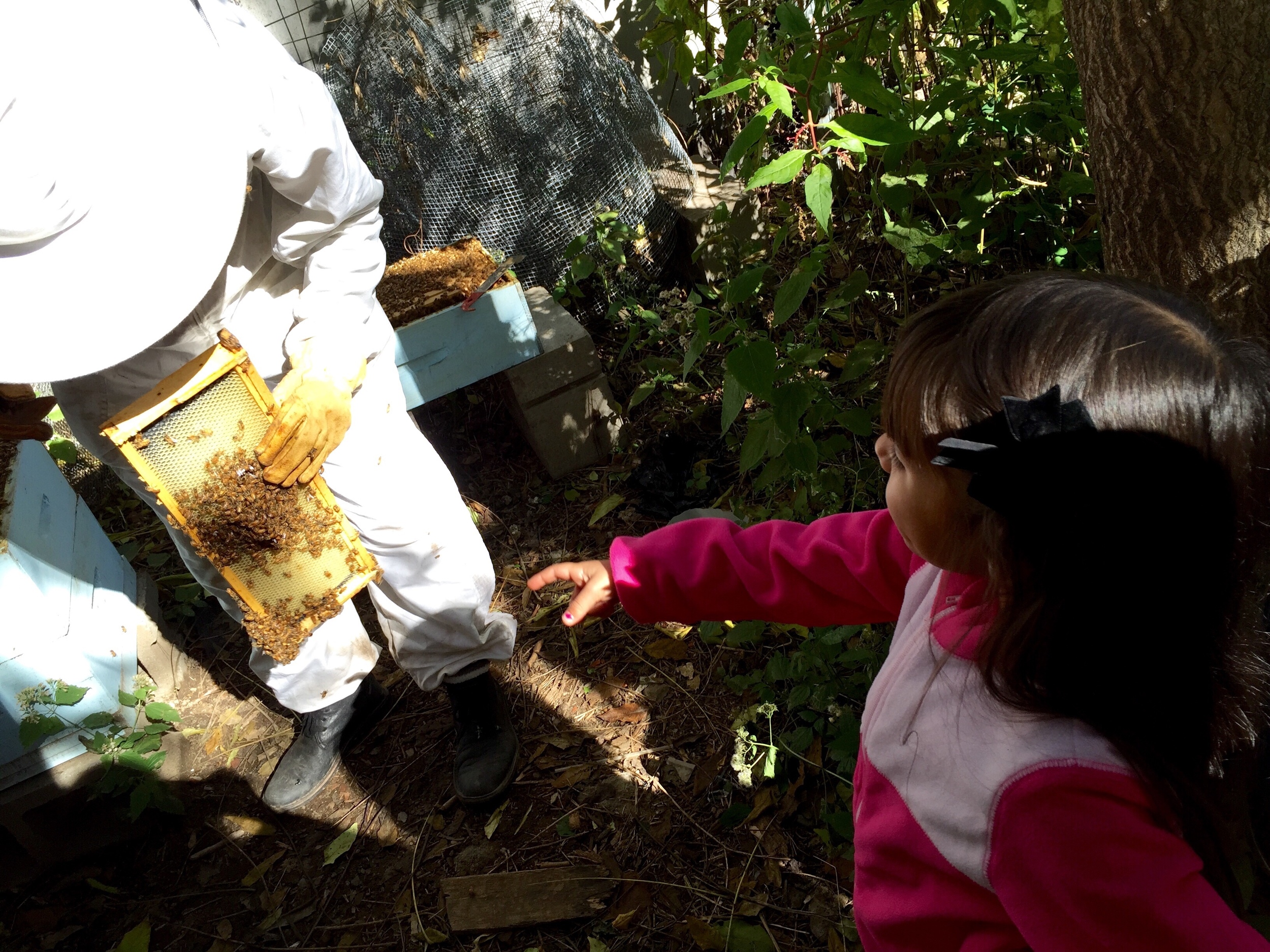Zoe and bees.jpg