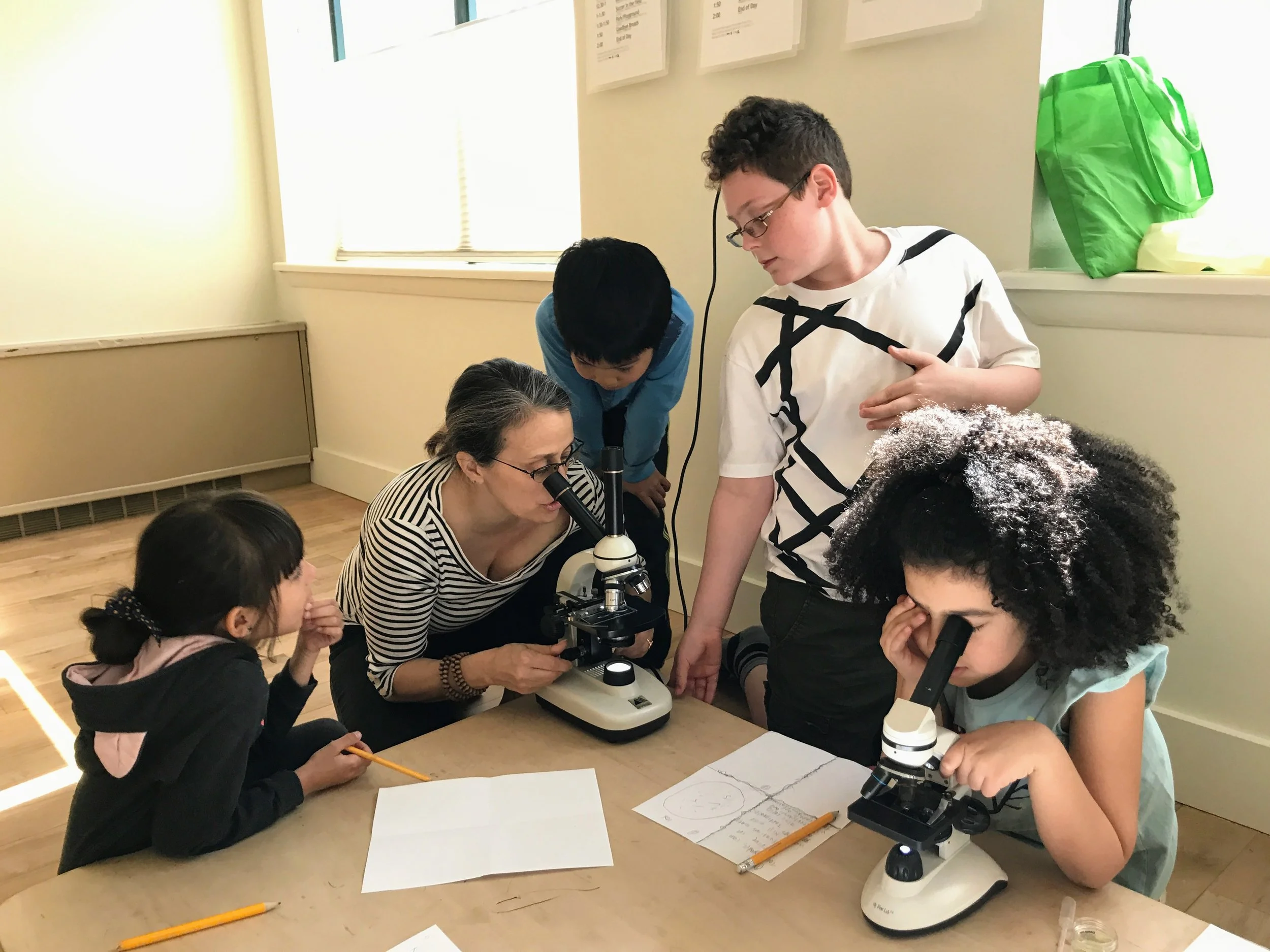 Dr A microscopes.JPG