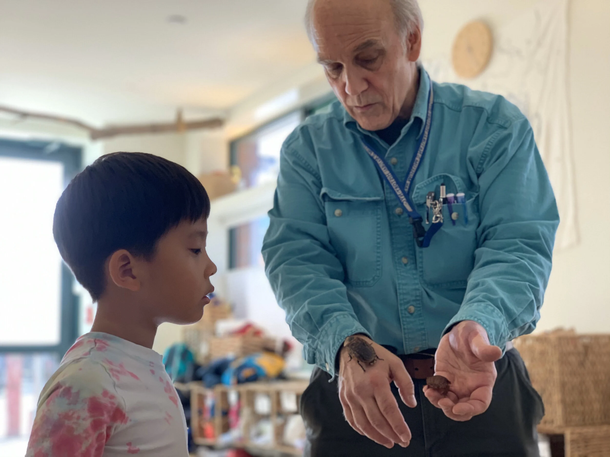 Entomology with Louis N. Sorkin (TUESDAYS)