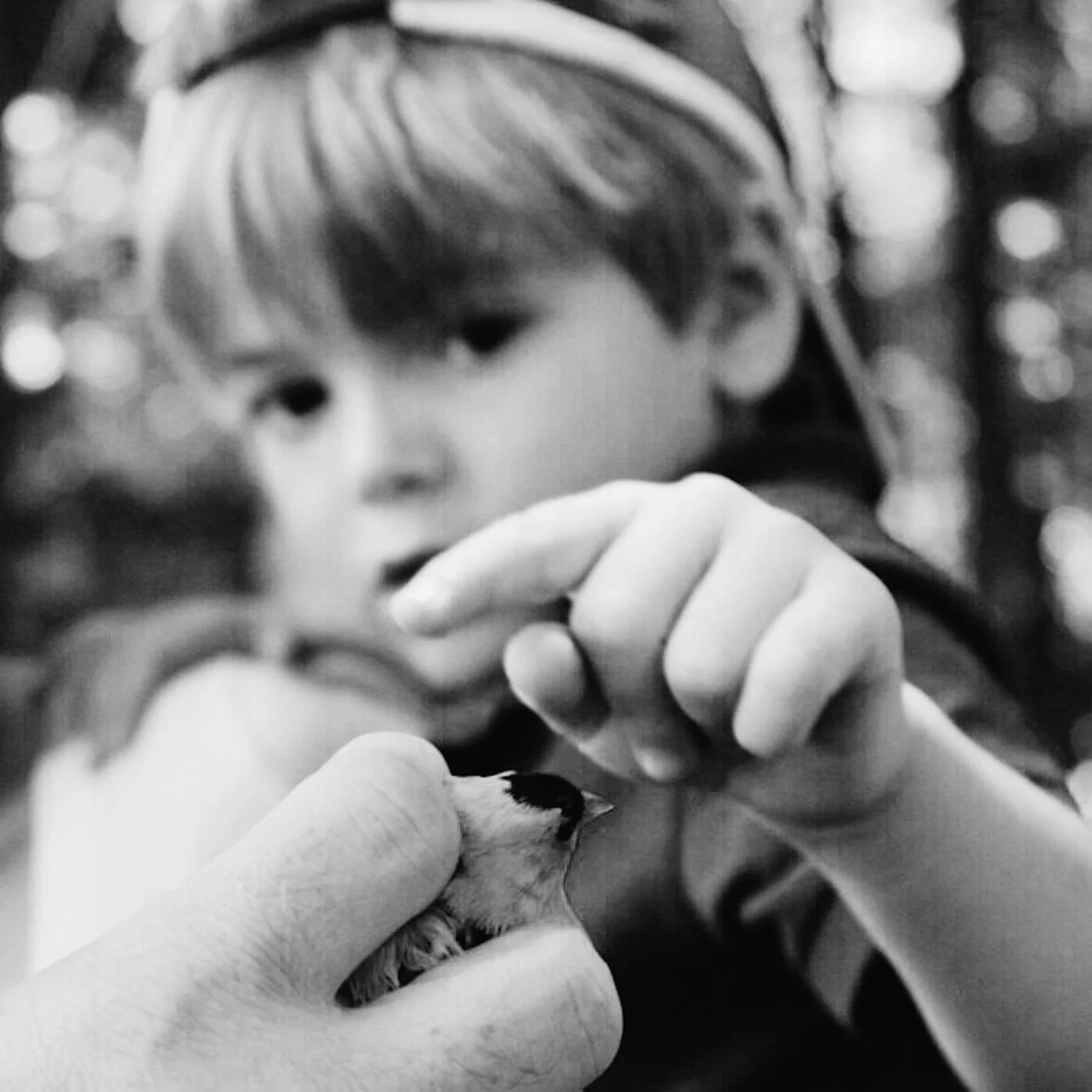 Why Did Our Kids Design an Outdoor School?