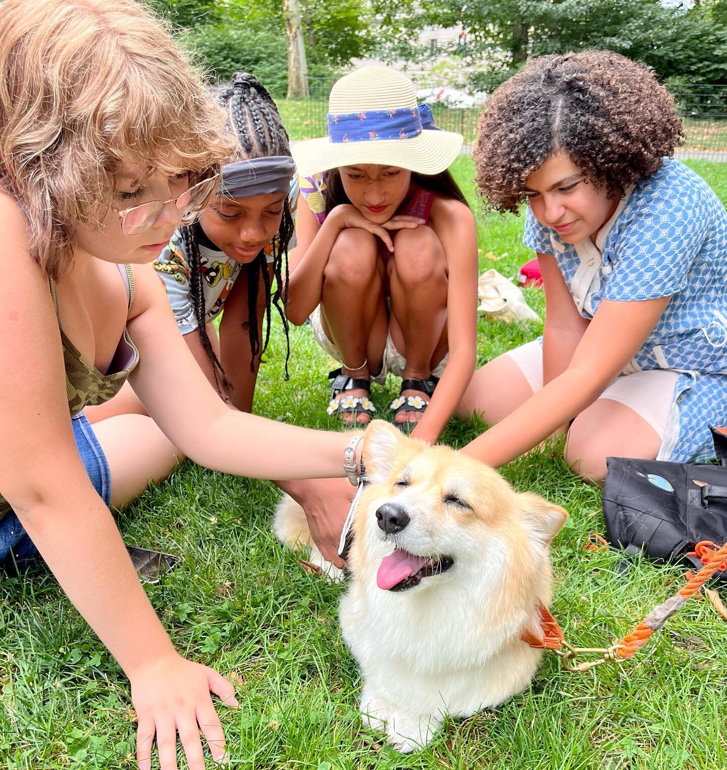 We love the dog days of summer when it means meeting @madmax_fluffyroad! Maxine&rsquo;s person, Bryan, talked about corgis, careers, and Cheerios, and Maxine charmed us all. Thank you both for bringing us so much joy!