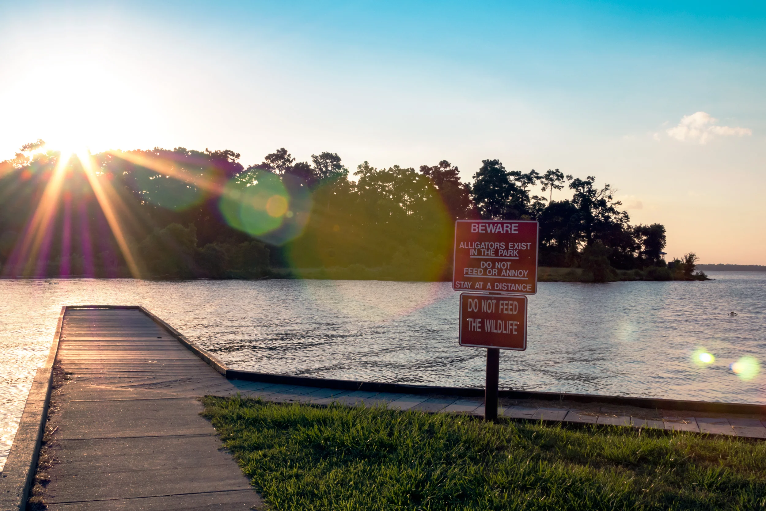 Behind The Photo -  Don't Feed The Alligators