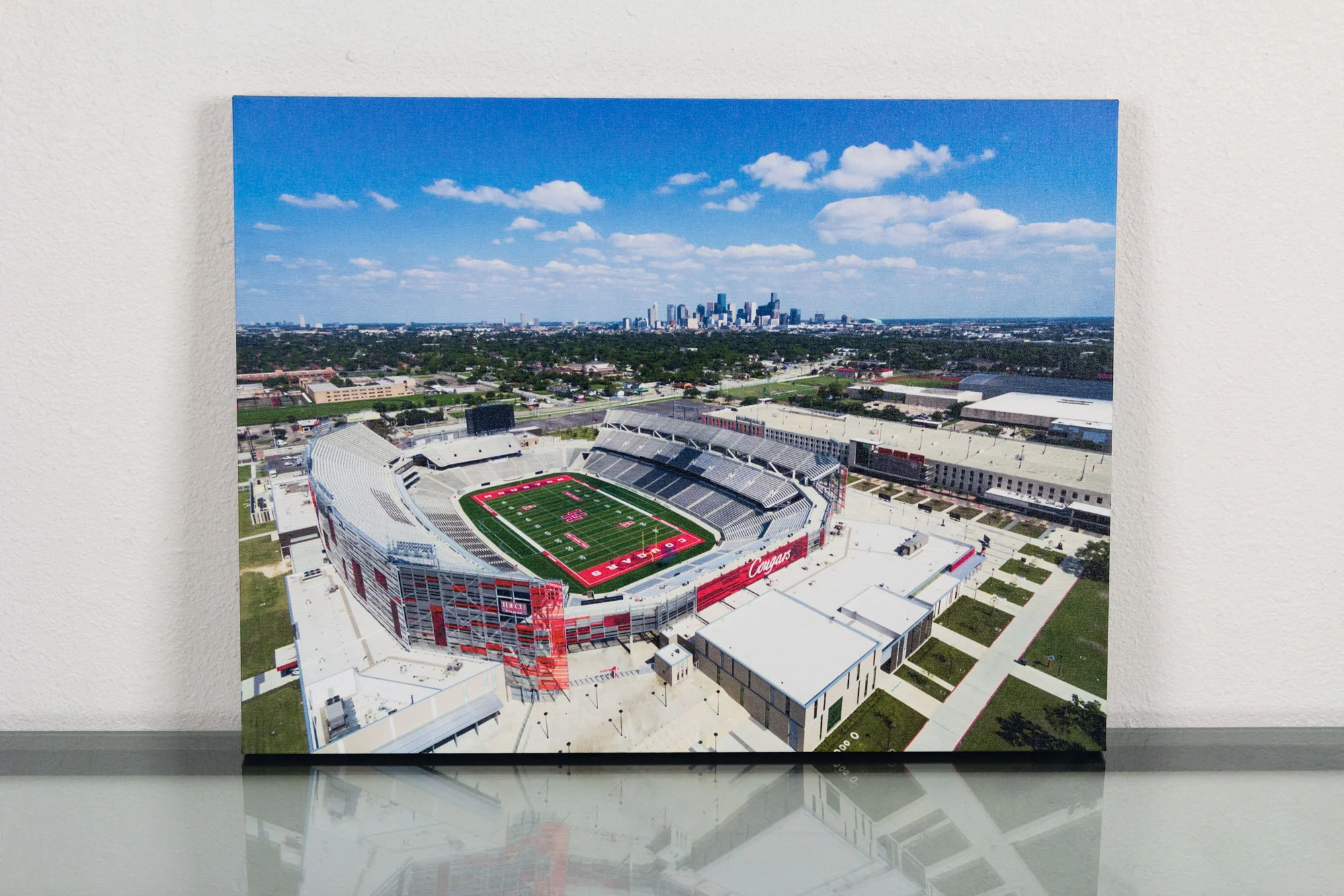 TDECU Stadium - Canvas Front