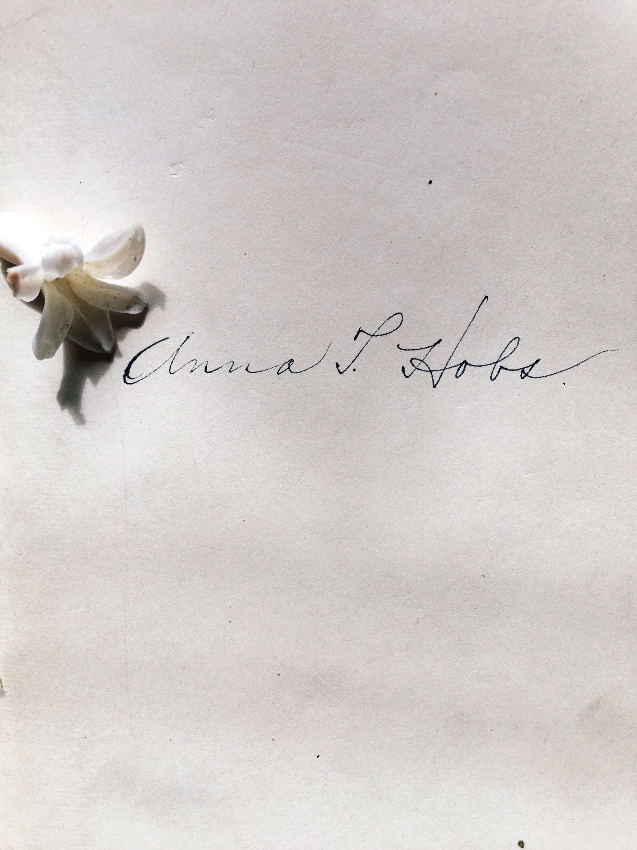 Signature found behind the cover