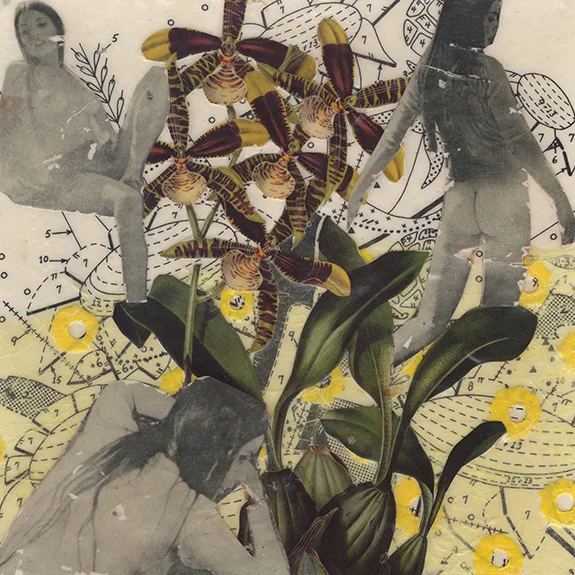 Nymphs. Mixed media collage on 300 lb. cold-pressed 100% rag paper with original vintage ephemera. 7 x 7 inches. 2014.