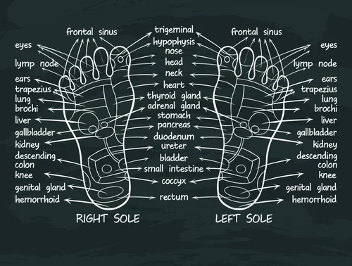 Reflexology