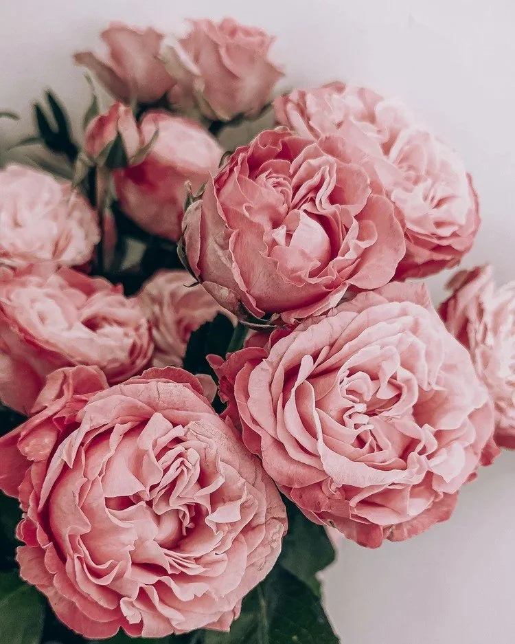 Happy Mother's Day to all the incredible moms out there. We hope today is as beautiful as you are.

We have just a handful of evening appointments remaining today at both our Santa Monica and Beverly Hills locations, and they are going fast. If you h