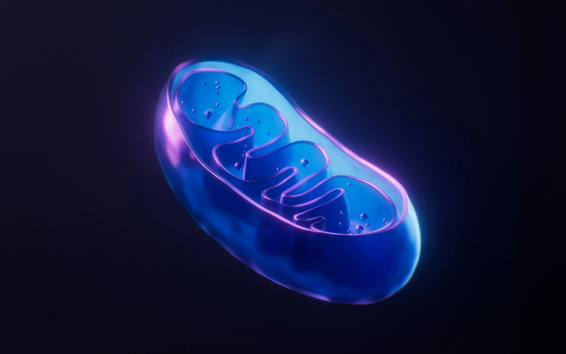 The Power Plants: What Mitochondria Are Actually Doing Inside Every Cell You Have