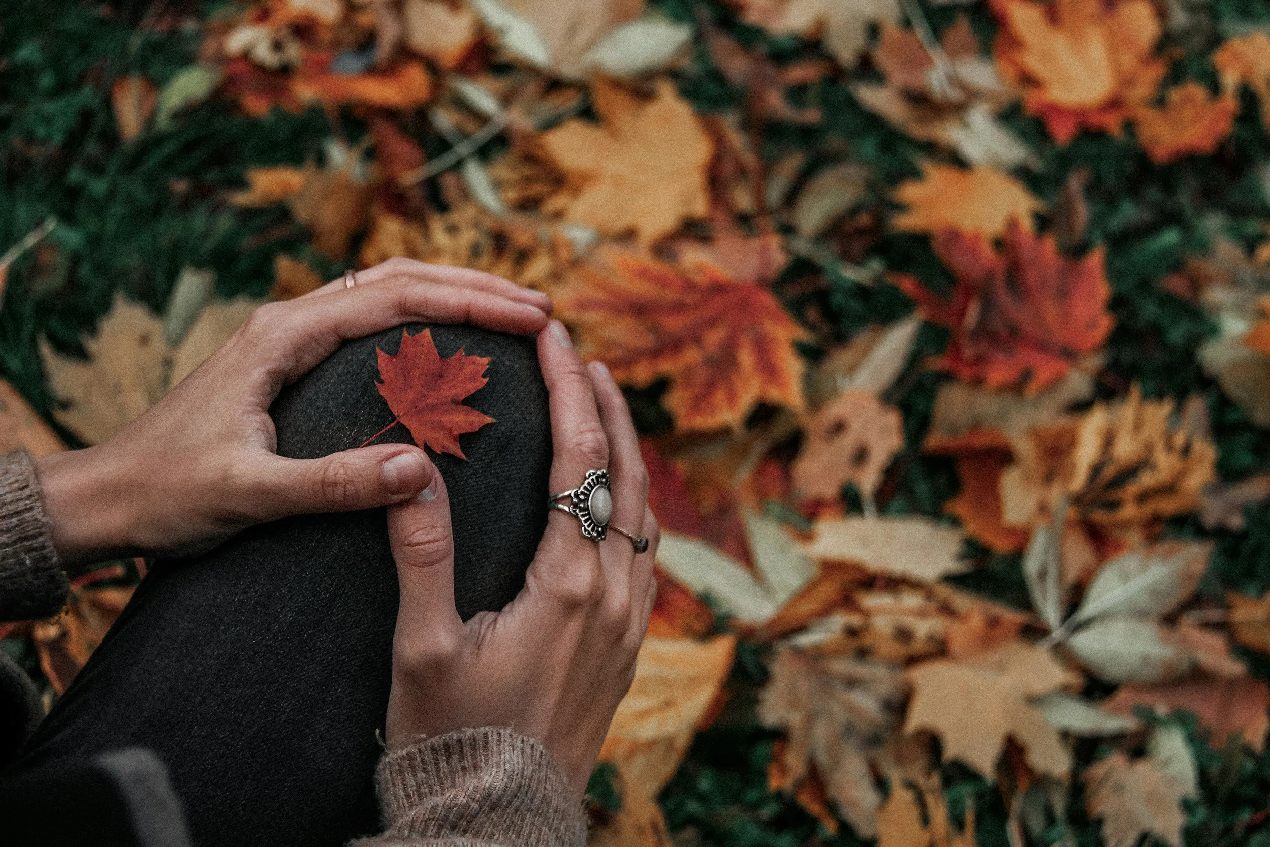 The Autumn Shift: What Your Body Is Actually Doing as the Season Changes