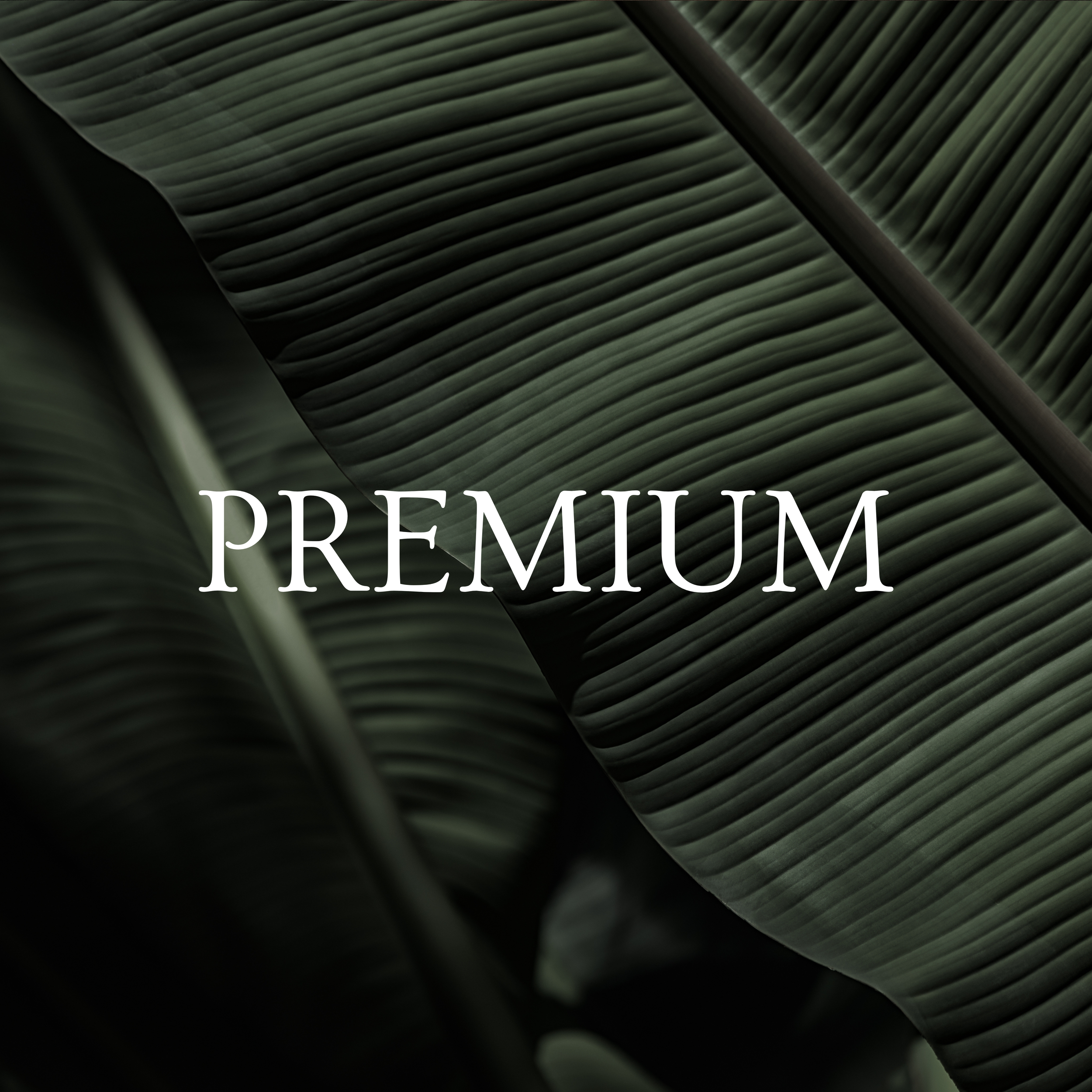 Premium Membership