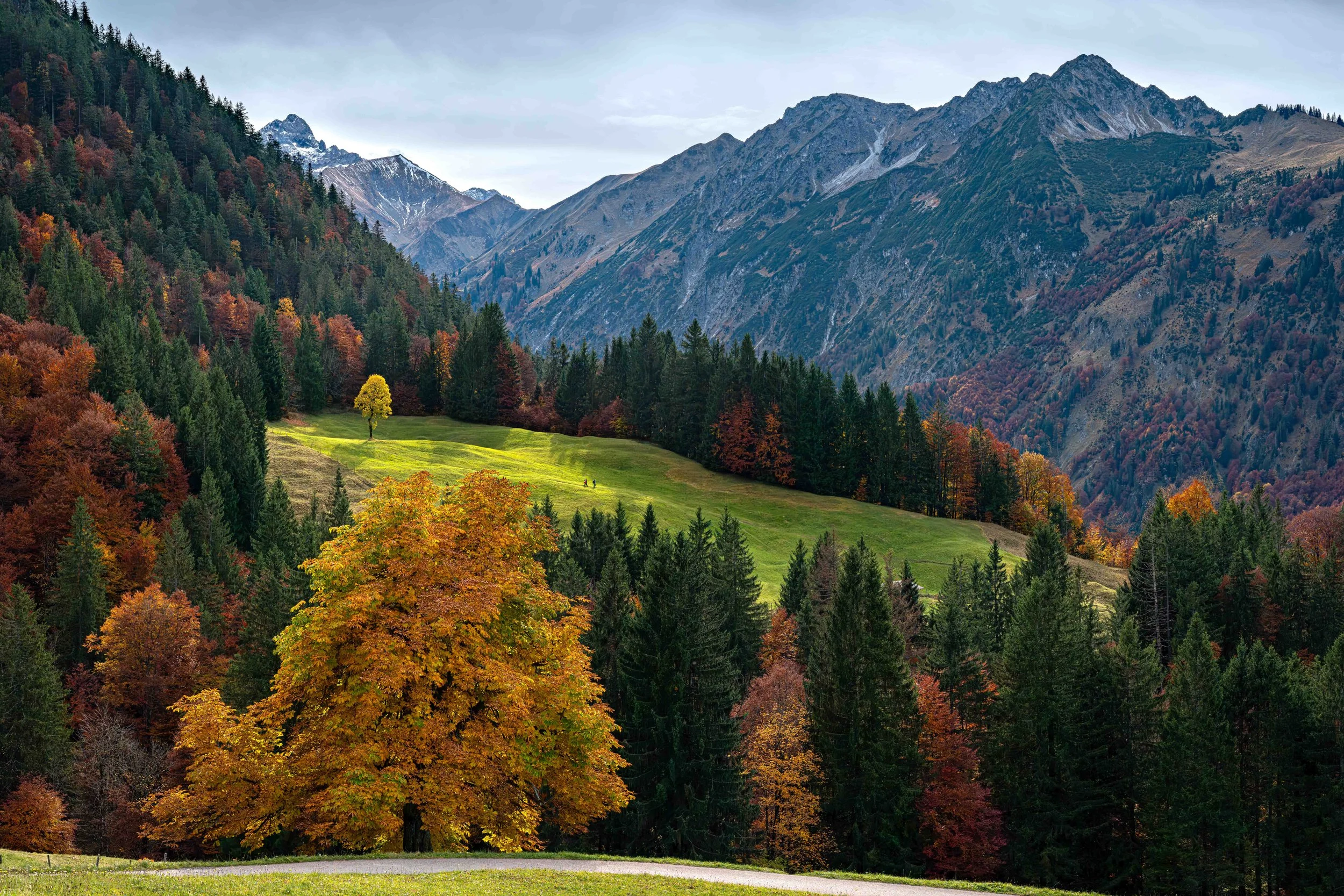 20251021-DSC_8059-Pano-Bearbeitet.jpg