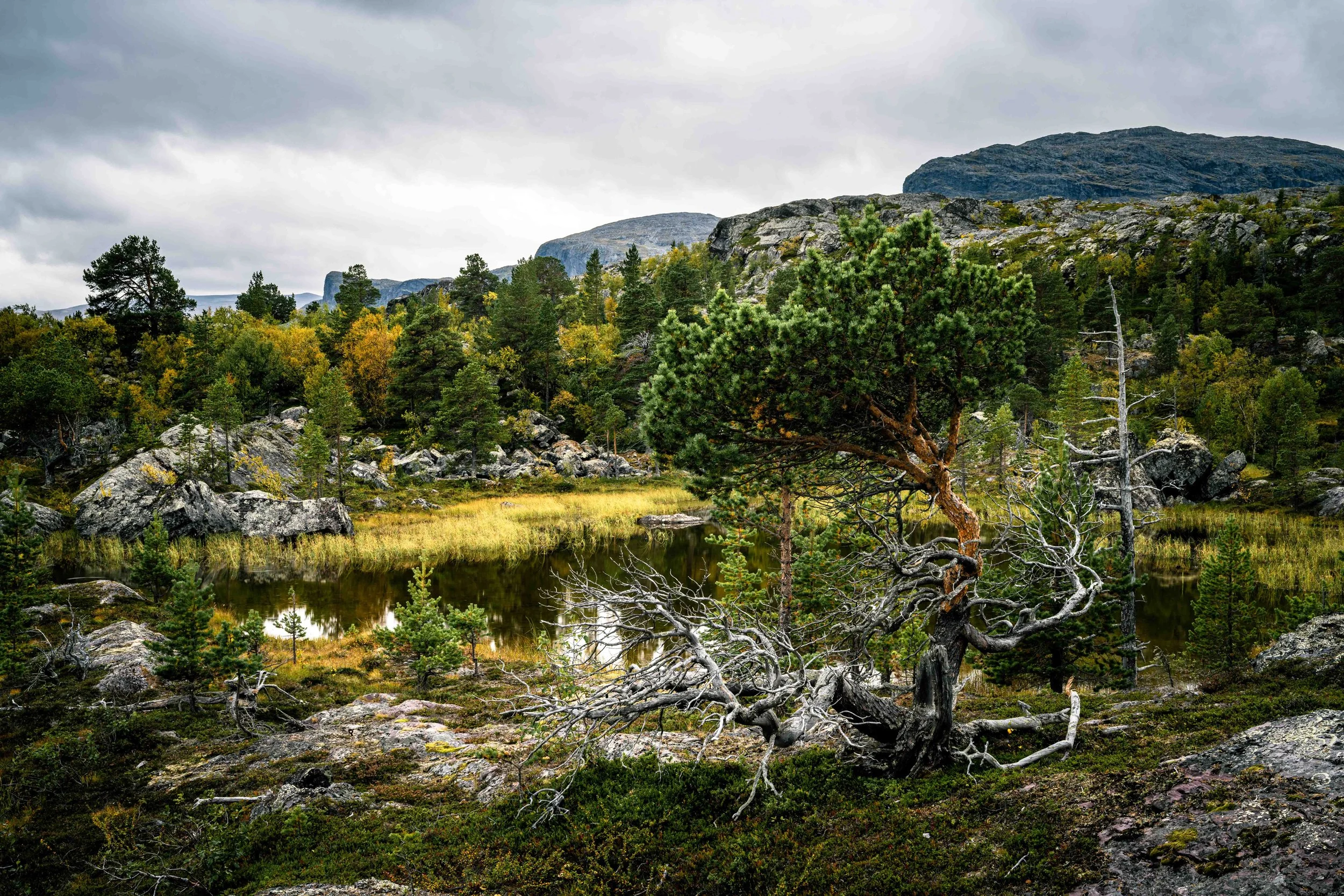 Lappland