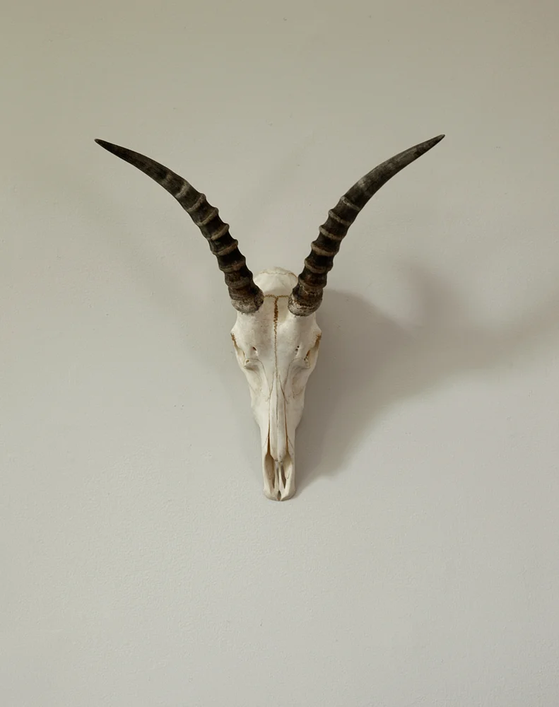 201 Skull_6045 FINAL.jpg