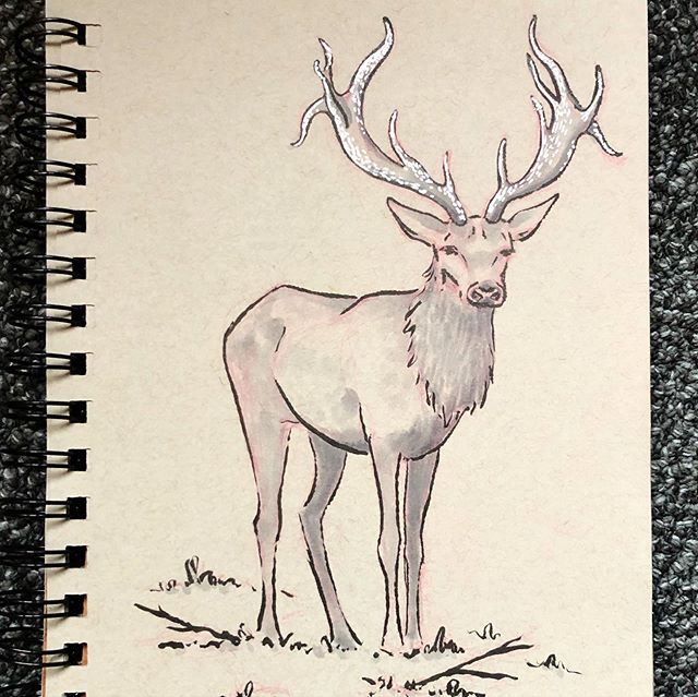 #inktober day 16. The prompt was wild. His name is Carl 🦌
&bull;
&bull;
&bull;
&bull;
#inktober2019 #ink #pen #penandink #posca #copic #blackandwhite #tonedpaper #drawingoftheday #illustration #art #sketch #instaart #artweinspire #artistoninstagram 
