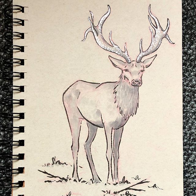 #inktober day 16. The prompt was wild. His name is Carl 🦌
&bull;
&bull;
&bull;
&bull;
#inktober2019 #ink #pen #penandink #posca #copic #blackandwhite #tonedpaper #drawingoftheday #illustration #art #sketch #instaart #artweinspire #artistoninstagram 