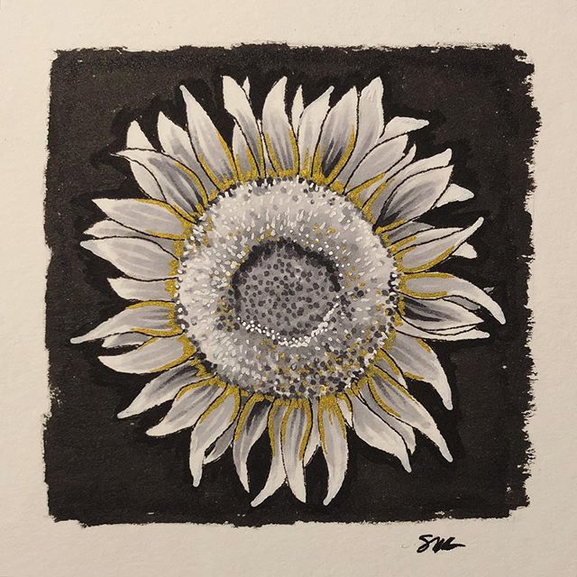 It&rsquo;s a Sunflower! 🌻 #flowerfacts I learned from #daybreak - The sunflower is food and medicine, but it is also a hyperaccumulator, which means it can remove radiation and heavy metals from contaminated soil. Super flower ✨
&bull;
&bull;
&bull;