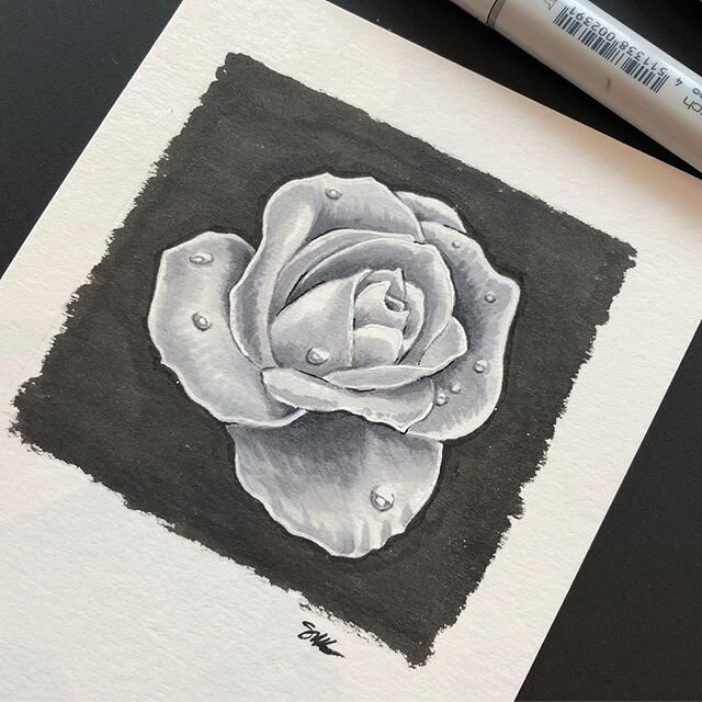 Day 1 of the #10daysfloraandfauna ! Today&rsquo;s prompt was water💧🌹🤗 Thanks to @davepryor72 for inviting me to the challenge! 🙌🏻
&bull;
&bull;
&bull;
&bull;
#friendsofillustration #rose #rosedrawing #copicmarkers 
#bloom #floralillustration #fl