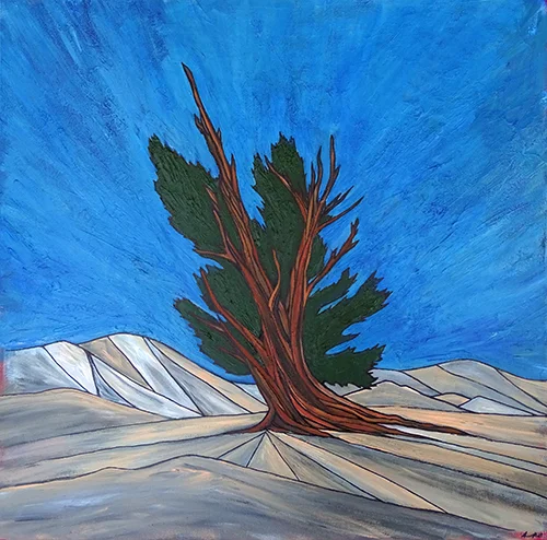 Lone Bristlecone canvas print