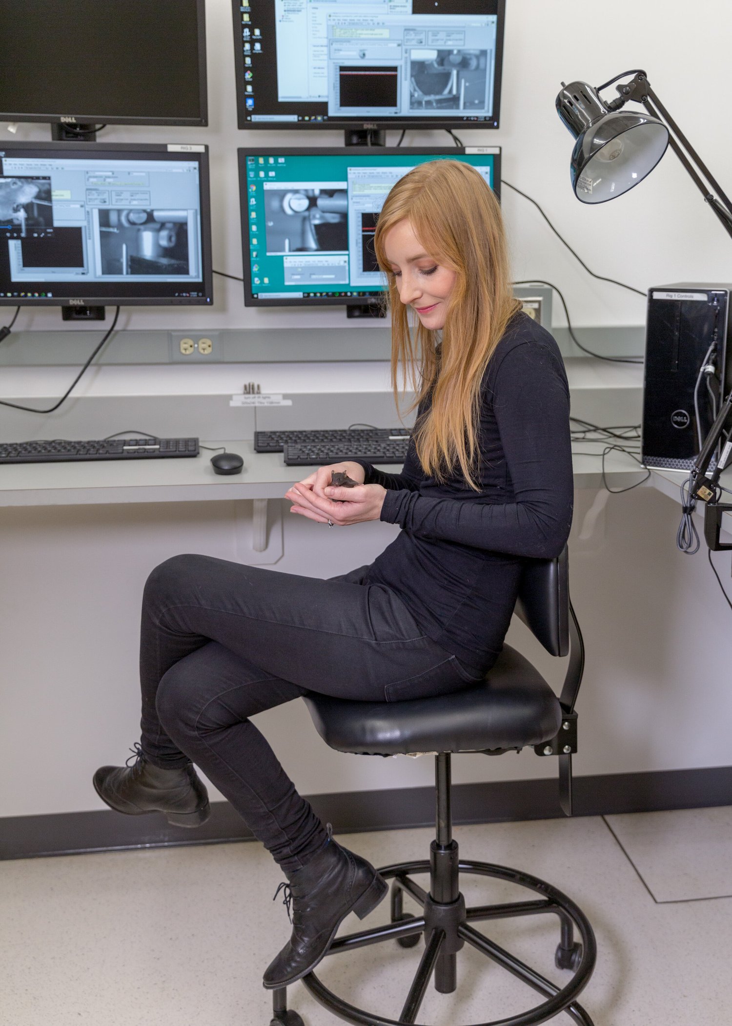 The Interesting Interplay Between Biological Intelligence & Artificial ...