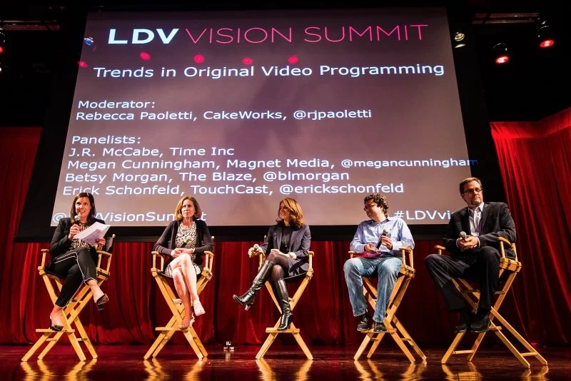 LDV Vision Summit 2014: Attendees, Speakers, Partners and Sponsors