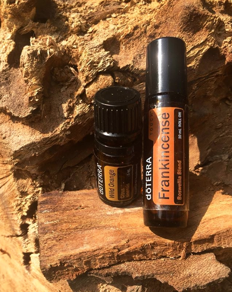 In our home studio, doTERRA Essential Oils provide us with safe, natural alternatives to chemical and pharmaceutical products. To learn more about these oils, and how we use the, please visit my doTERRA page. My doTERRA