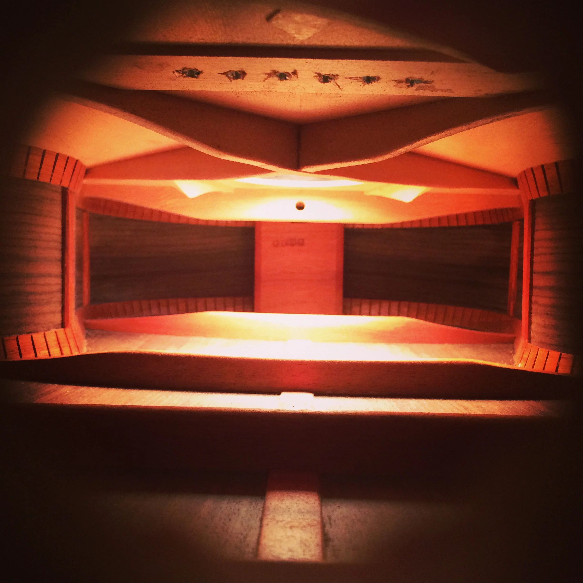  A peak inside the box of a Pledger OM 