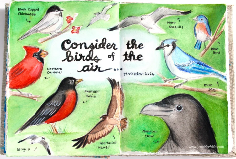 Bird Sunday Sketches in Watercolor - Illustrated Faith