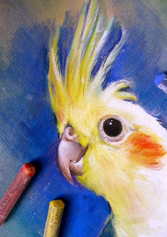 Animal Drawings in Pastel — Jennifer Frith, Artist & Illustrator